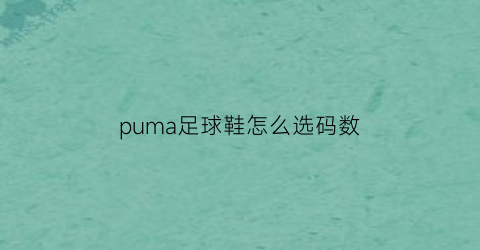 puma足球鞋怎么选码数(puma足球鞋尺码)