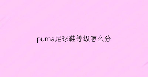 puma足球鞋等级怎么分(puma足球鞋系列分类)