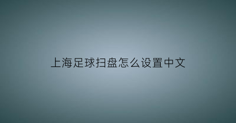 上海足球扫盘怎么设置中文(2021足球初步扫盘推荐)