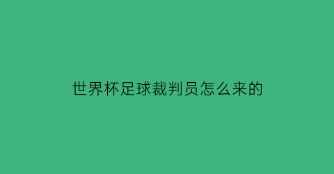 世界杯足球裁判员怎么来的(风险不小钱不少世界杯裁判们能赚多少)