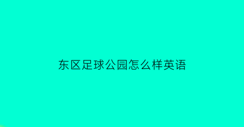 东区足球公园怎么样英语(东区体育公园足球场)