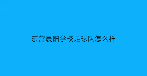 东营晨阳学校足球队怎么样(东营晨阳学校吧)