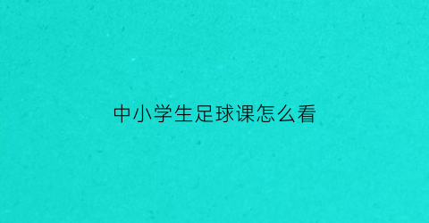 中小学生足球课怎么看(中小学足球是几号)