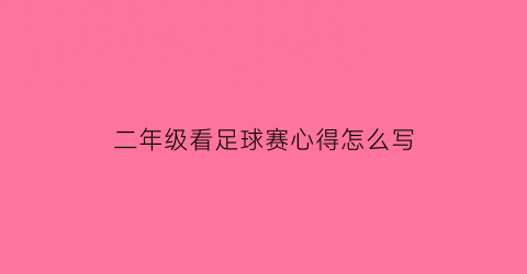 二年级看足球赛心得怎么写(小学生观看足球观比赛后的感受)