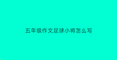 五年级作文足球小将怎么写