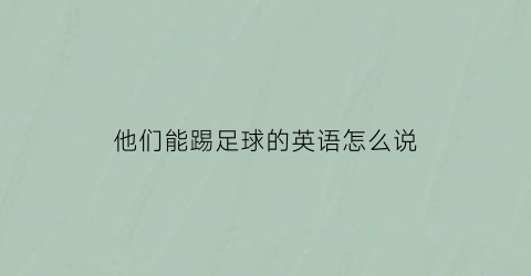 他们能踢足球的英语怎么说(他们能玩足球英文)