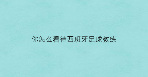 你怎么看待西班牙足球教练(西班牙队足球教练)