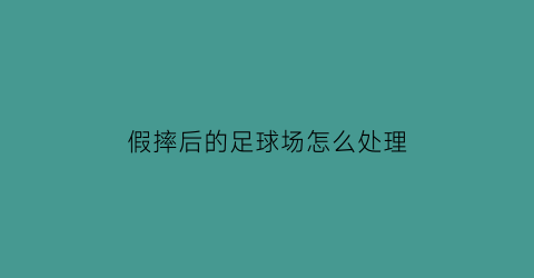 假摔后的足球场怎么处理(足球场上假摔搞笑视频)