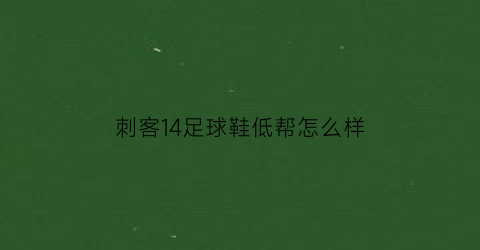 刺客14足球鞋低帮怎么样(怎么判断刺客14足球鞋真假)