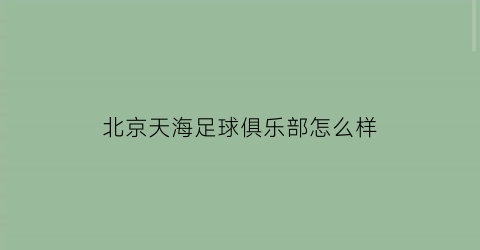 北京天海足球俱乐部怎么样(天海足球队接盘企业曝光)