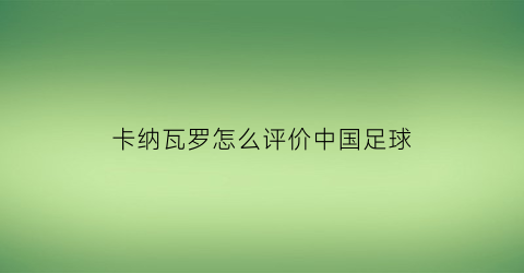 卡纳瓦罗怎么评价中国足球(卡纳瓦罗接手国足生活)