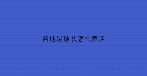 各地足球队怎么养活(足球队怎么盈利)