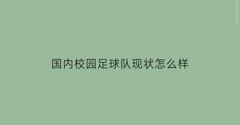 国内校园足球队现状怎么样(中国足球校园发展现状)