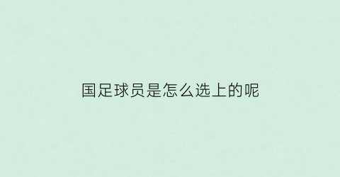 国足球员是怎么选上的呢(国足球员是怎么选出来的)