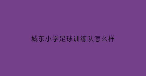 城东小学足球训练队怎么样(城南小学足球队)