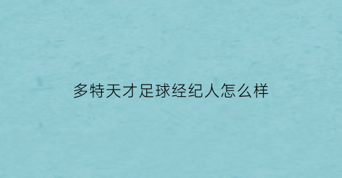 多特天才足球经纪人怎么样(多特足球队)