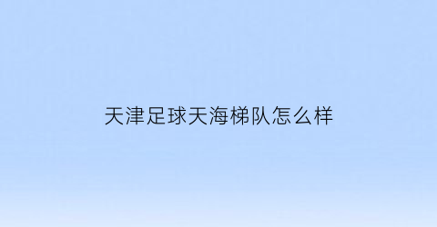 天津足球天海梯队怎么样(天津天海足球队守门员名单)