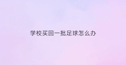 学校买回一批足球怎么办(学校里买回足球)