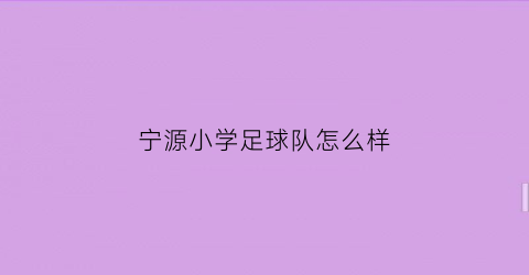 宁源小学足球队怎么样(宁源小学足球队怎么样呀)