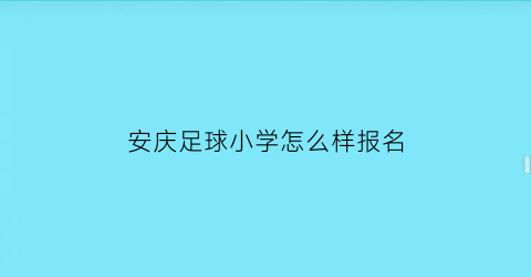 安庆足球小学怎么样报名(安庆体育中心足球场)