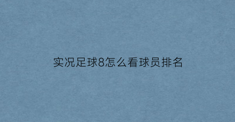 实况足球8怎么看球员排名(实况足球8球员能力值排名)