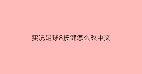 实况足球8按键怎么改中文(实况足球8怎么把球员弄成中文)