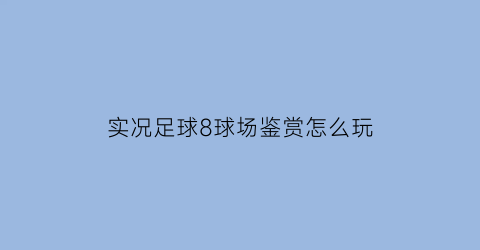 实况足球8球场鉴赏怎么玩(实况足球8视频)