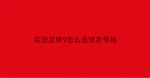 实况足球9怎么选球衣号码(实况足球9中国队姓名)