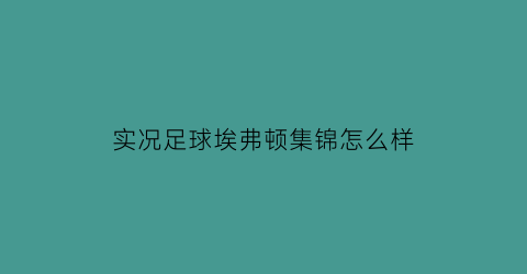 实况足球埃弗顿集锦怎么样(实况足球有埃托奥吗)