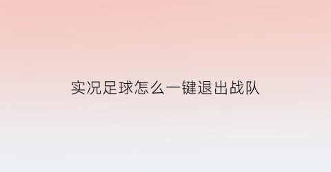 实况足球怎么一键退出战队(实况足球怎么一键退出战队队员)