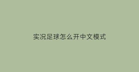 实况足球怎么开中文模式(实况足球2021设置语言)