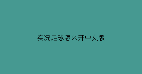 实况足球怎么开中文版(实况足球怎么输入中文)