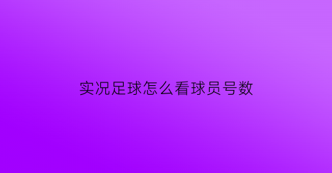 实况足球怎么看球员号数(实况足球怎么查看球员数据)