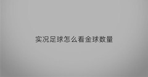 实况足球怎么看金球数量(实况足球怎么看金球数量啊)