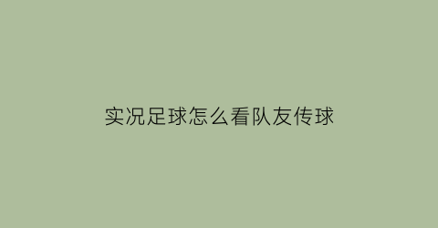 实况足球怎么看队友传球(实况足球怎么看球员进球助攻数据)