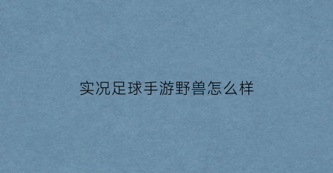 实况足球手游野兽怎么样(实况野球手游攻略)