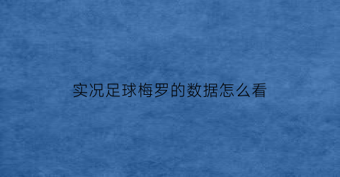 实况足球梅罗的数据怎么看(实况足球梅罗的数据怎么看的)