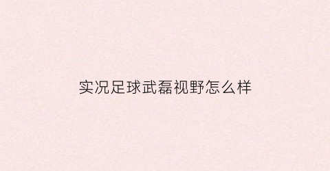 实况足球武磊视野怎么样(武磊实况足球)