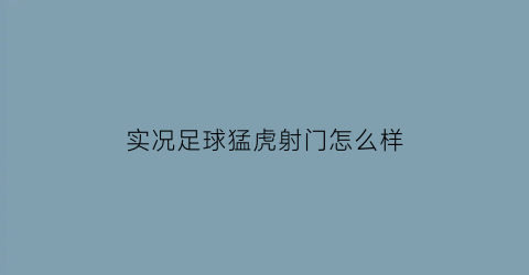 实况足球猛虎射门怎么样(实况足球胖虎)