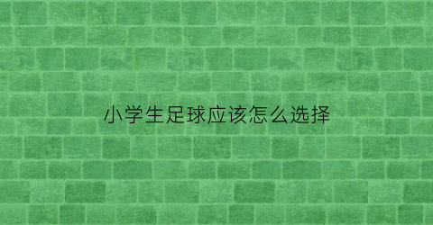 小学生足球应该怎么选择(小学生怎样选足球)