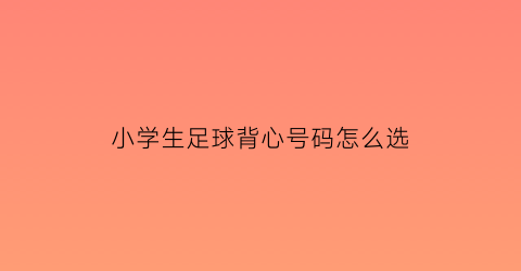 小学生足球背心号码怎么选(小学生足球衣服号码)