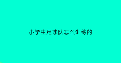 小学生足球队怎么训练的(小学生足球训练班)