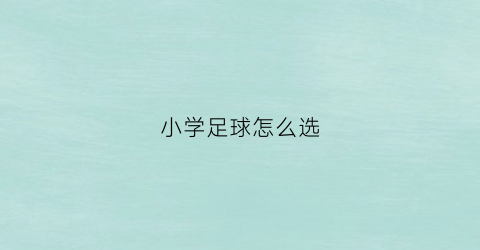 小学足球怎么选(小学足球怎么选人)