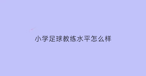 小学足球教练水平怎么样(小学足球老师)