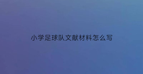 小学足球队文献材料怎么写(校园足球文献综述范文)