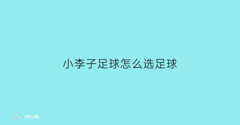 小李子足球怎么选足球(小李子足球旗舰店是真的吗)