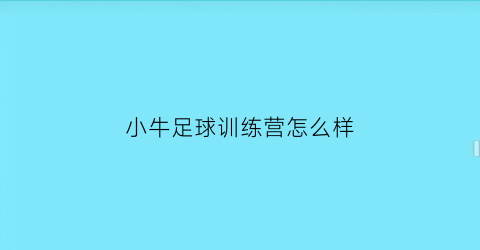 小牛足球训练营怎么样(小牛篮球训练营)