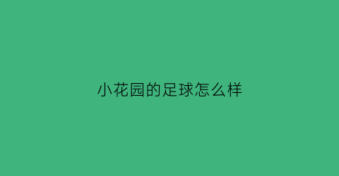 小花园的足球怎么样(小花园集锦)