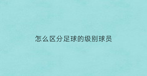 怎么区分足球的级别球员(怎么区分足球的级别球员呢)