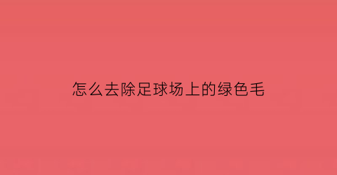 怎么去除足球场上的绿色毛(足球弄脏了怎么清理)